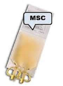 1545375538716682.png 2.png