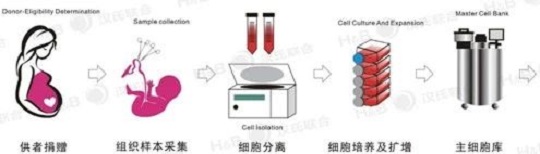 1565073626138712.jpg 4.jpg