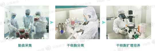 1565073649335903.jpg 5.jpg