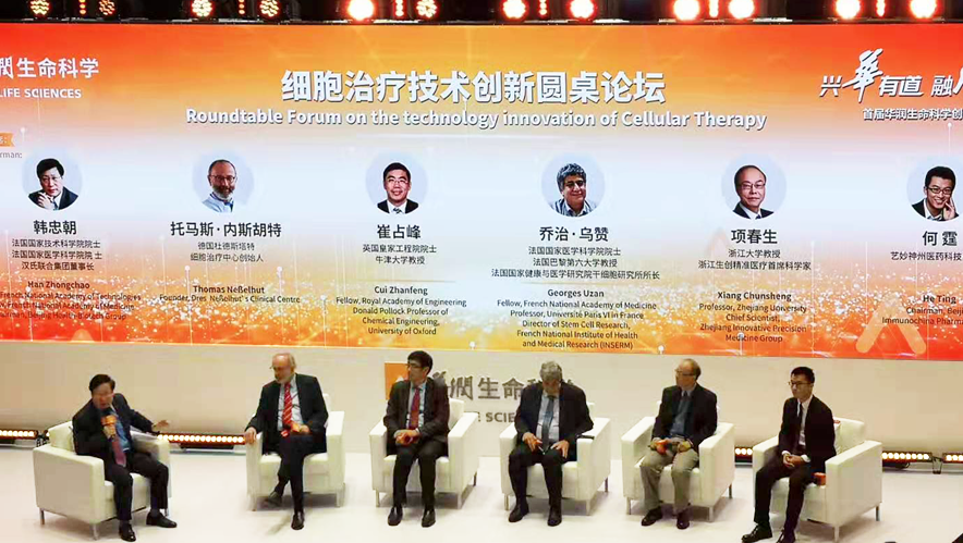 1573103900446426.png 9.png