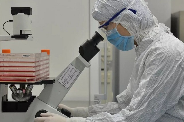 1574991669889969.jpg 2.jpg