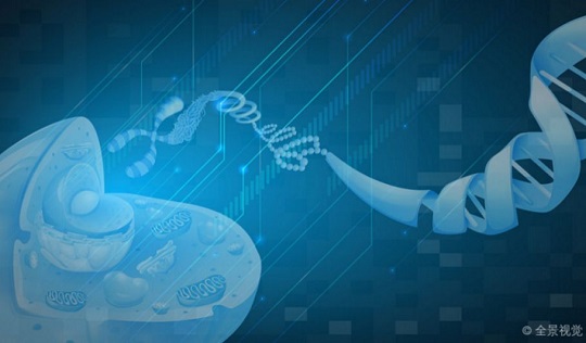 1585027014803866.jpg 2.jpg