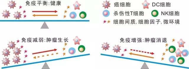 NK细胞存储 免疫细胞存储