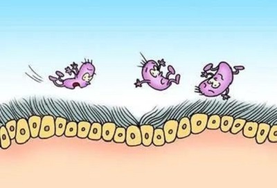 1585899200841915.jpg 2.jpg