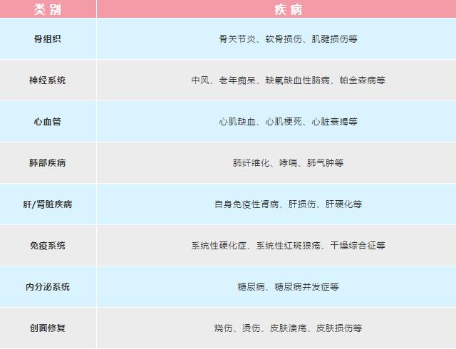 间充质干细胞 胎盘间充质干细胞