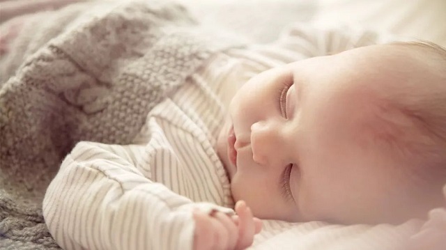 造血干细胞 胎盘造血干细胞