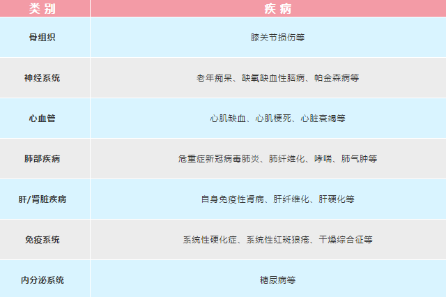 脐带间充质干细胞 什么是脐带间充质干细胞