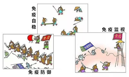 1587025152908943.png 2.png