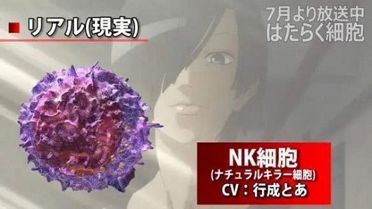 1592273574296423.jpg 2.jpg