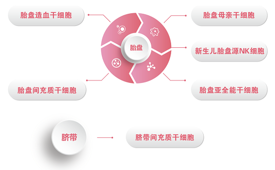 新生儿胎盘干细胞存储选哪家 为什么存储胎盘干细胞