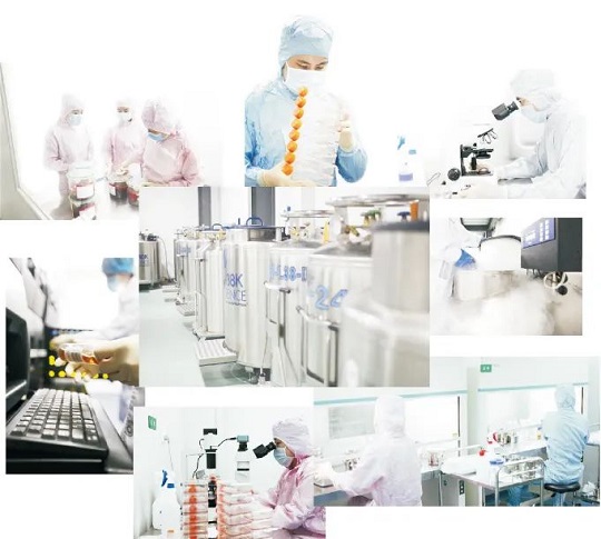 干细胞存储延缓衰老 胎盘干细胞存储有什么用