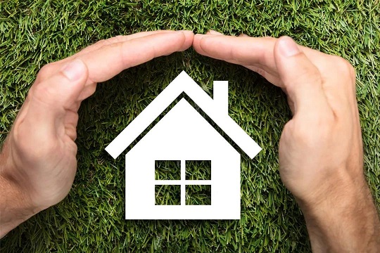 1596095969565999.jpg 1.jpg