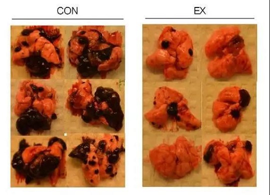 存干细胞就选汉氏联合 汉氏联合干细胞存储