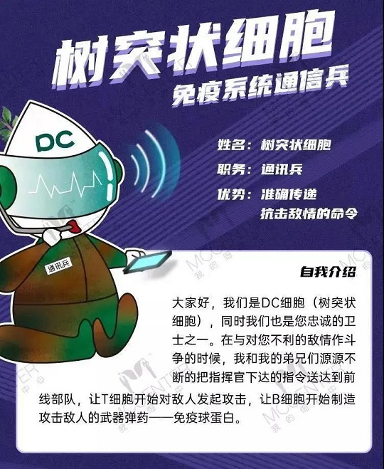 汉氏联合干细胞抗衰 干细胞抗衰