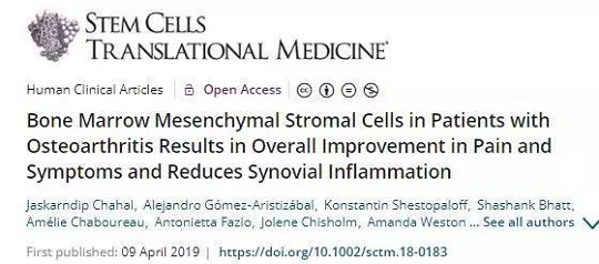 干细胞存储的作用 干细胞治疗骨质疏松