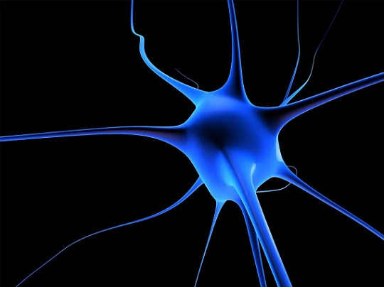 干细胞有什么用