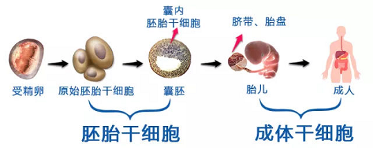 1612429263624899.png 1.png