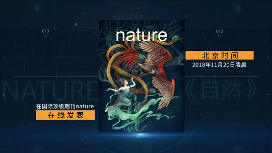 间充质干细胞治疗 间充质干细胞治疗