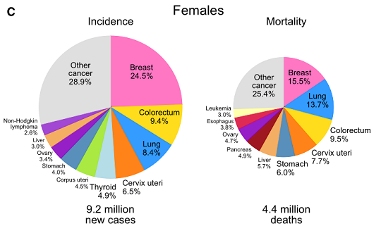 1615342197198964.png 4.png