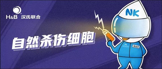 NK细胞 存NK细胞选汉氏联合