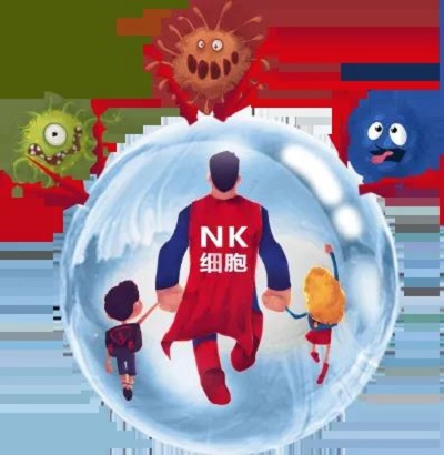 NK细胞 存NK细胞选汉氏联合