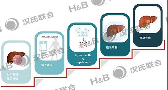 1627612614282502.jpg 2.jpg