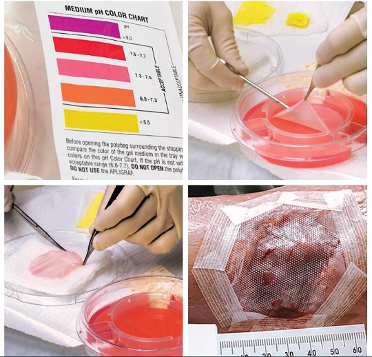 1634101666391288.jpg 3.jpg