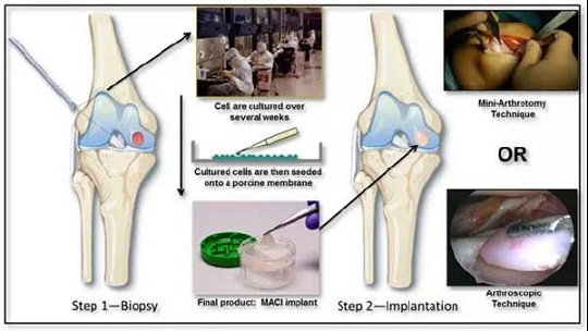 1634101716159220.jpg 4.jpg