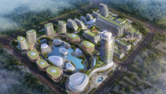 1634101832892319.jpg 8.jpg