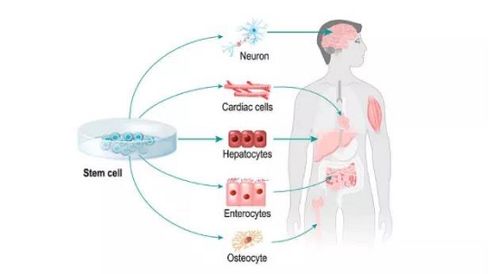 1640249240238704.jpg 1.jpg