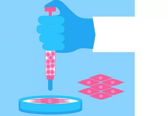 1640249332852784.jpg 4.jpg