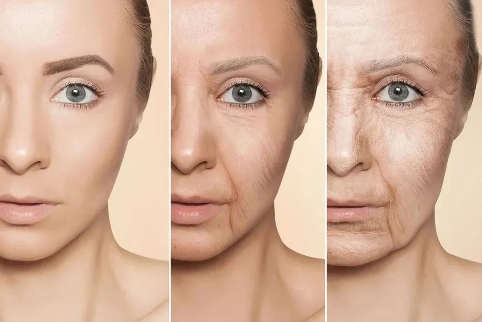 干细胞治疗卵巢早衰