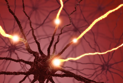 功能正常的神经元