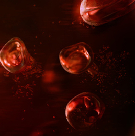 干细胞治疗可改善心脏功能