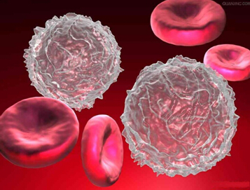 斯坦福大学发现应对肌体损伤的应激干细胞