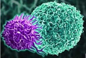 胎盘干细胞产品加速糖尿病足溃疡的愈合