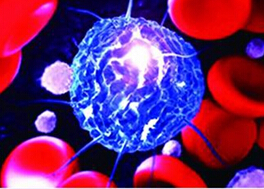 Cell Stem Cell:实现造血干细胞移植的条件