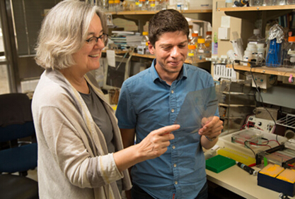 细胞衰老的开关